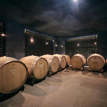 Winery Cuj Bed & Breakfast Vilanija ภายนอก รูปภาพ